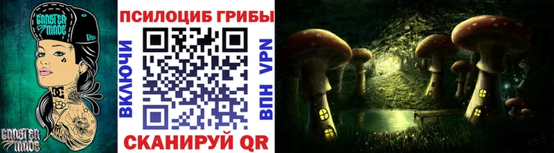 Псилоцибиновые грибы прущие грибы Катав-Ивановск
